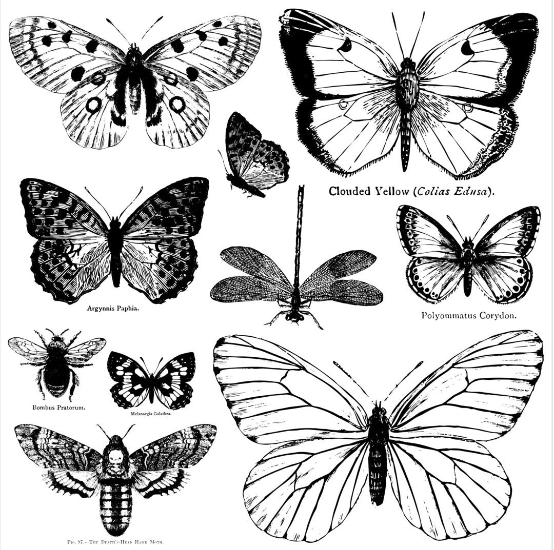Iron Orchid Designs - Butterflies Stamp - Rustic River Home