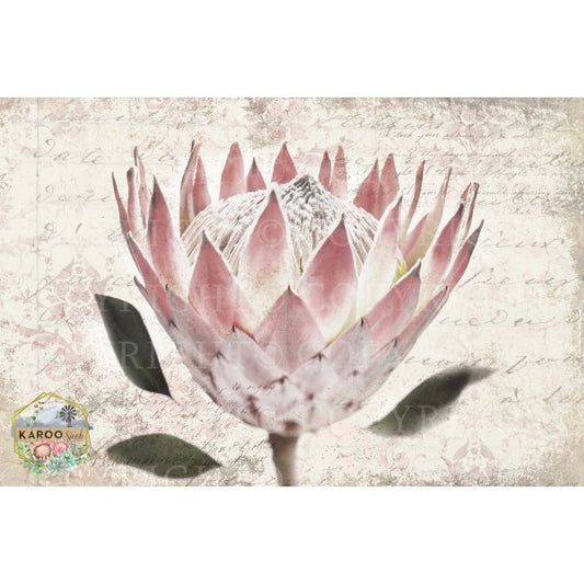 Karoo Sjiek Decoupage Paper - KSFP057 - Rustic River Home